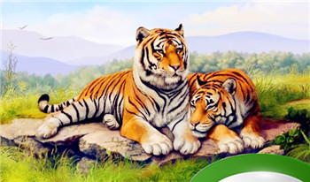 属虎的命硬克家人 属虎有克亲之说吗插图 属虎的命硬克家人 属虎有克亲之说吗插图