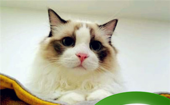 大湲水命男命好吗 大溪水命有财吗插图