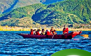 属兔今年事业运程-兔年生今天如何做好事业插图