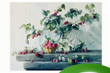 脚趾头长短的说法 脚趾头长短看性格插图 脚趾头长短的说法 脚趾头长短看性格插图