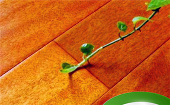 梦见情人另结新欢预示着什么插图 梦见情人另结新欢预示着什么插图