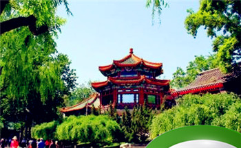 世界环境日是几月几日？每年的6月5日插图
