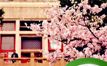 腊月初八出生的男孩晚年荣华富裕 一路顺畅插图