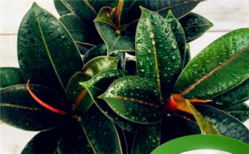 晚上十二点右眼跳怎么样 晚上右眼跳是什么预兆插图 晚上十二点右眼跳怎么样 晚上右眼跳是什么预兆插图