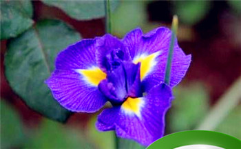 没本事的男人面相特征 窝囊难伺候刻薄不上进插图 没本事的男人面相特征 窝囊难伺候刻薄不上进插图