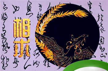 额头宽阔的女人面相(额头宽阔的男人什么命)插图 额头宽阔的女人面相(额头宽阔的男人什么命)插图