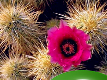 八字财多的男人命运怎么样 八字水多的男人命运插图 八字财多的男人命运怎么样 八字水多的男人命运插图