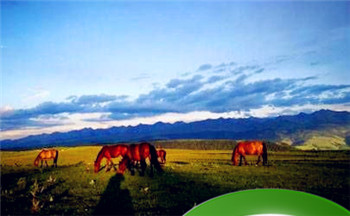 周易算命怎么八字合婚姻?合婚的方法有哪些?插图 周易算命怎么八字合婚姻?合婚的方法有哪些?插图