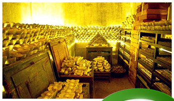 富可敌国是什么生肖 富可敌国打最准一个动物插图 富可敌国是什么生肖 富可敌国打最准一个动物插图