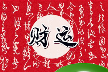 办公室摆什么植物旺风水 办公室内摆放哪一种绿植最聚财插图 办公室摆什么植物旺风水 办公室内摆放哪一种绿植最聚财插图