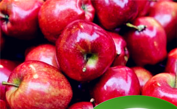 女儿是老公的小情人 你的女儿日常都是如何和你老公相处的？插图