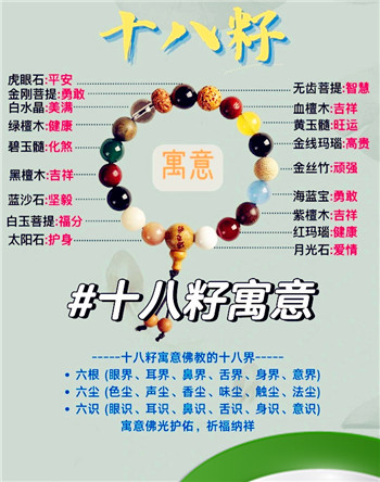 十八籽啥意思 十八籽寓意什么插图 十八籽啥意思 十八籽寓意什么插图