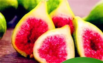 女人五行缺土怎么补救最好改善插图 女人五行缺土怎么补救最好改善插图