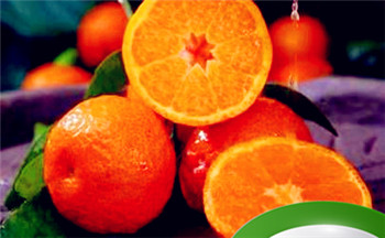 1937年属什么生肖 1937年出生今年多大插图