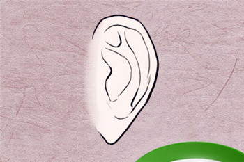 鼻梁高鼻头有肉的女人面相 越老越有好运气的面相特征插图 鼻梁高鼻头有肉的女人面相 越老越有好运气的面相特征插图