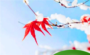 算命是否会越算越不太好 有福之人撑不住三算得上是怎么回事插图