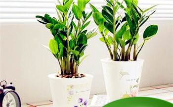 2023双春兼闰月生孩子命运好不好？命中有天喜照命插图