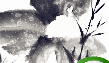 搬家留钱有什么讲究 家里放什么纳财镇宅插图