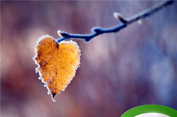 颧骨高不好有什么说法吗 颧骨高是好是坏插图 颧骨高不好有什么说法吗 颧骨高是好是坏插图