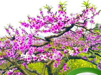 人中短小的女人怎么摆脱前任呢插图 人中短小的女人怎么摆脱前任呢插图