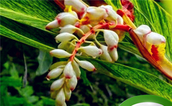 风水决定命运 还是命运决定风水?插图 风水决定命运 还是命运决定风水?插图