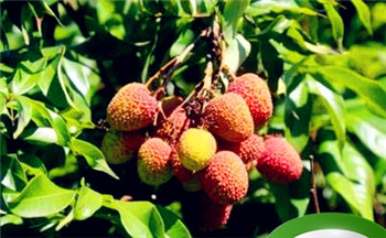 天罡命格是好不?天罡之人是好命插图 天罡命格是好不?天罡之人是好命插图