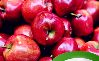 八字甲午日与丙辰日的婚配表和婚姻状况插图 八字甲午日与丙辰日的婚配表和婚姻状况插图