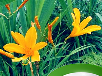 属兔男试探女人的表现 怎么让属兔男主动找你插图 属兔男试探女人的表现 怎么让属兔男主动找你插图