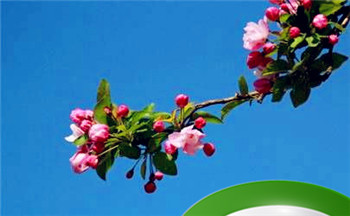 2023年属兔男孩几月出生最好2023年最好的出生月份插图 2023年属兔男孩几月出生最好2023年最好的出生月份插图