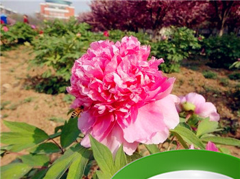 八字看流年应事诀窍 八字看流年方法插图 八字看流年应事诀窍 八字看流年方法插图