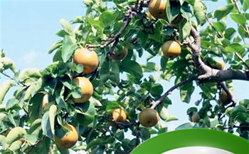 2023年春季出生的宝宝命运 随遇而安容易获得满足插图 2023年春季出生的宝宝命运 随遇而安容易获得满足插图