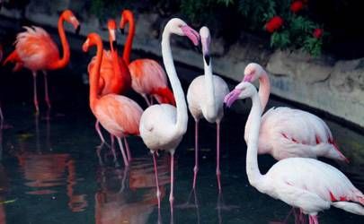 八字中时柱代表着子女代表着哪些 教你从八字的时柱看子女信息插图