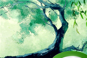 八字神煞里桃花是什么意思 八字中哪些是桃花星插图 八字神煞里桃花是什么意思 八字中哪些是桃花星插图