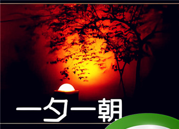 一朝一夕打一个动物,一朝一夕开过什么生肖插图 一朝一夕打一个动物,一朝一夕开过什么生肖插图