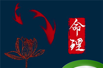 2023年一月份生宝宝是属虎还是兔(2023年阳历一月出生的是虎还是兔)插图 2023年一月份生宝宝是属虎还是兔(2023年阳历一月出生的是虎还是兔)插图