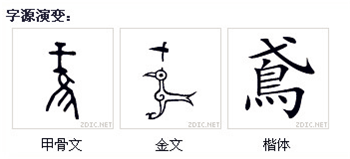 纸鸢的鸢是指什么 古代风筝为什么叫纸鸢插图